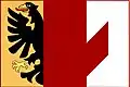 Flag of Čakovičky