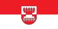 Flag of Šilalė