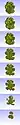 Various sections through the 3D object