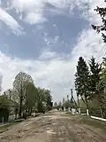 Vivsia during spring