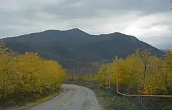 Scenery