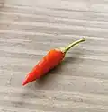 Capsicum annuum L. var. fasciculatum Irish