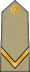 Sergent (Arabic: رقيب, romanized:&nbsp;Raqib) (Algerian Land Forces)[37]