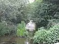 Hendon Lane Weir, Dollis Brook