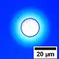 Circular hole formed in a 100&nbsp;nm thick film of polystyrene. The blue color of the film is due to Structural coloration and depends on the film's thickness.