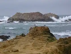 Bird Rock
