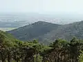 The Wetterkreuzberg seen from Sommerberg