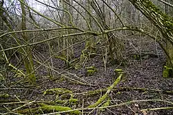 Its slag heap.