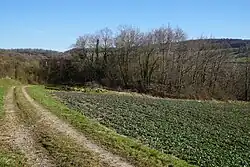 General view with the slag heap (pit E).