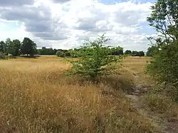 Natural area