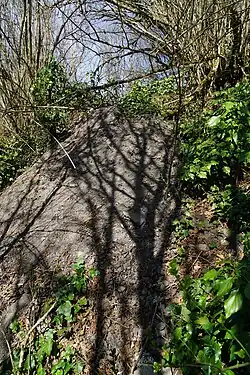 The spoil heap.