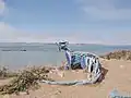 Art in Albany bulb