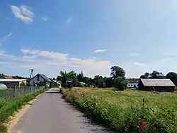 Płowce (2025)