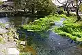 Nigoriike Pond (濁池)