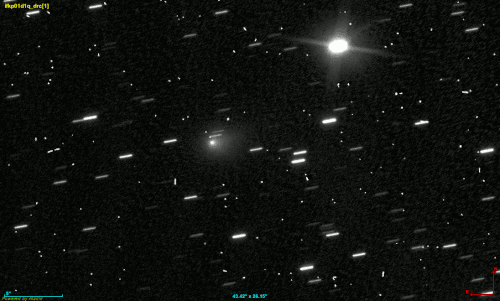 3I/ATLAS moving across a field of stars, as seen by the Hubble Space Telescope