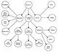 Classification Schematics