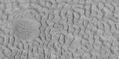 Brain terrain being formed, as seen by HiRISE under HiWish program. Location is Ismenius Lacus quadrangle.