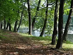 Łastowiecki Park