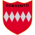 The second of two new badges used temporarily by the club