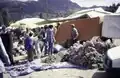 A market with useful plants. Tents. Bundles of plants with pink flowers, Tleta Beni Oulid, 1997