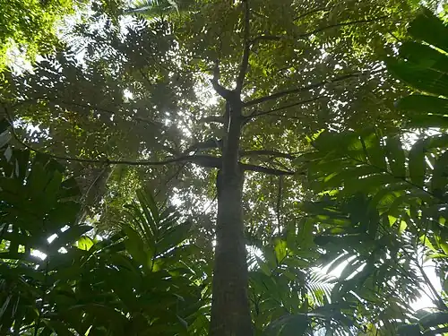 Habit
