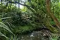 Alexandra Stream