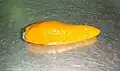 Another closeup of Almora Lakhori Mirchi