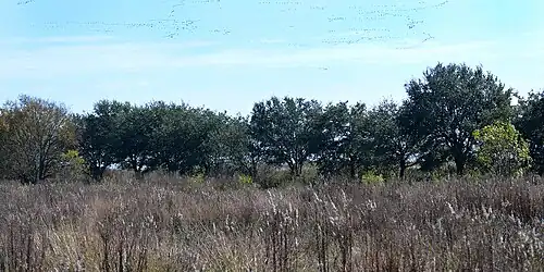 The refuge is in the Western Gulf coastal grasslands ecoregion