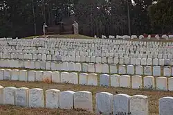 detail of graves