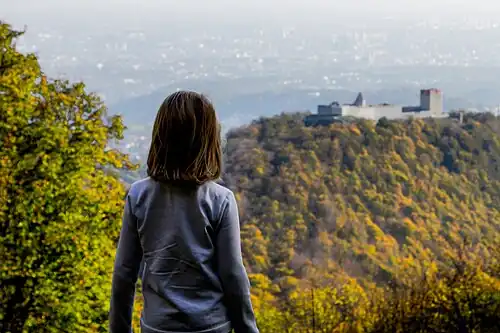 View at Medvedgrad