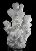 Aragonite
