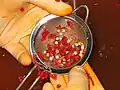 Gloved hands cleaning seeds from pulp