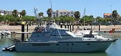 P-101