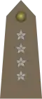 Kapitan Polish Land Forces