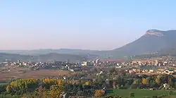 Avià