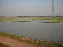 Việt Yên
