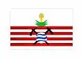 Flag of Campo Formoso