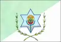 Flag of Boa Vista