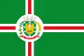 Flag of Aral Moreira