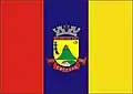 Flag of Castelo
