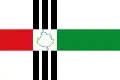 Flag of Vinhedo