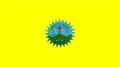 Flag of Santa Cruz da Baixa Verde