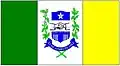 Flag of Ouro Branco