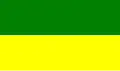 Flag of San Fernando Canton