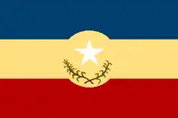 Flag of Charallave