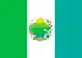 Flag of Carrizal Municipality