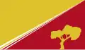 Flag of Independencia Municipality