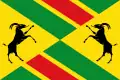 Flag of La Cabrera