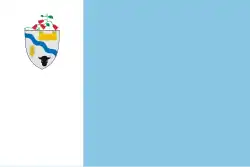 Flag of Río Bueno