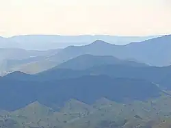 The skyline